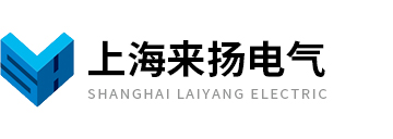 上海來(lái)?yè)P電氣科技有限公司